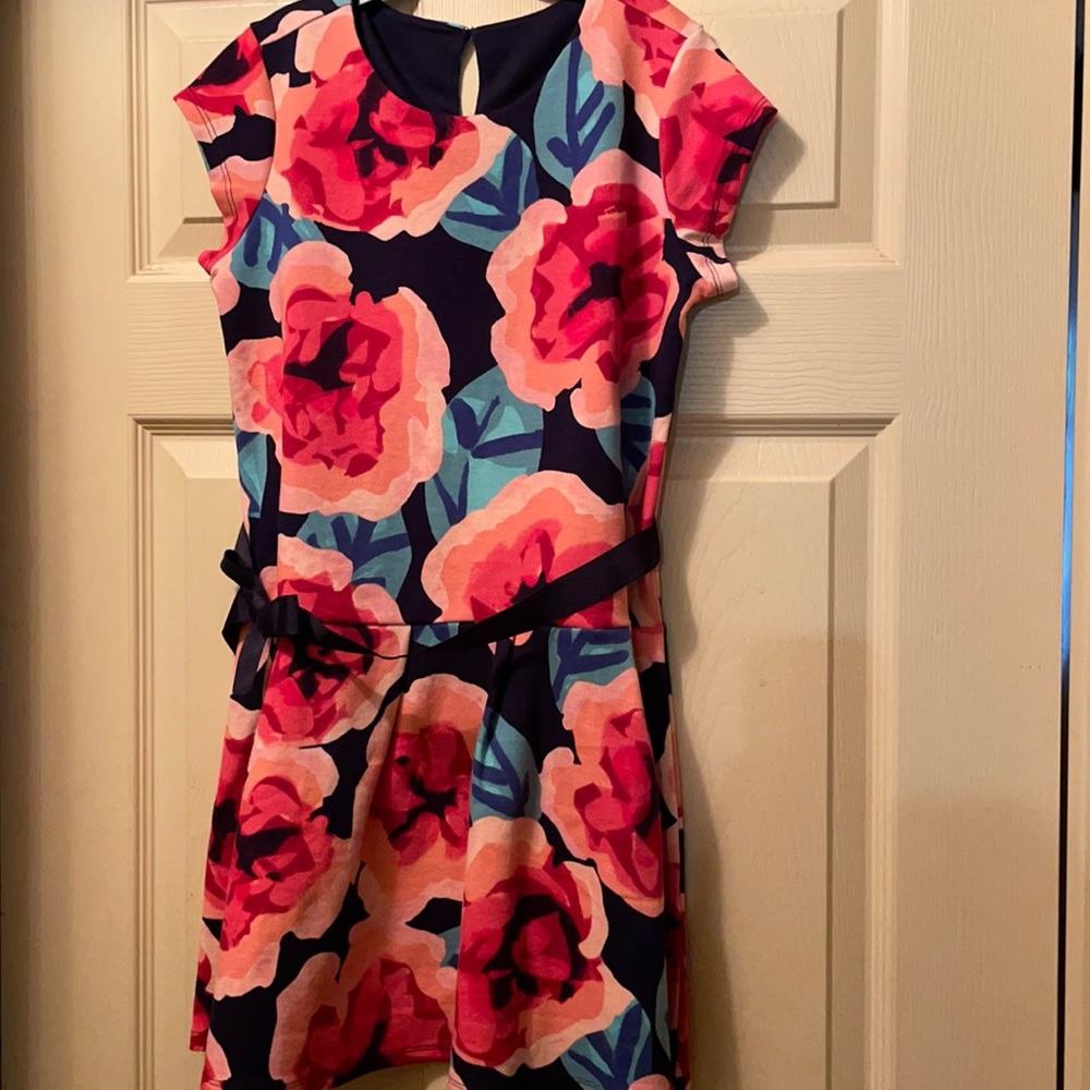 Gymboree girl’s dress